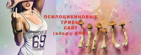 амф Вяземский