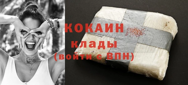 амф Вяземский