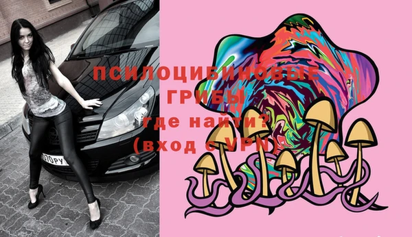амф Вяземский