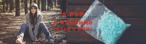 амф Вяземский