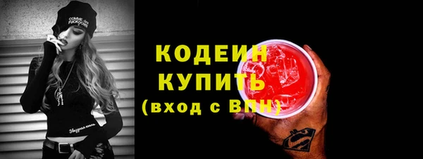 амф Вяземский