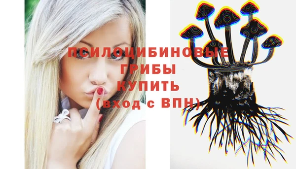 прущая мука Горняк