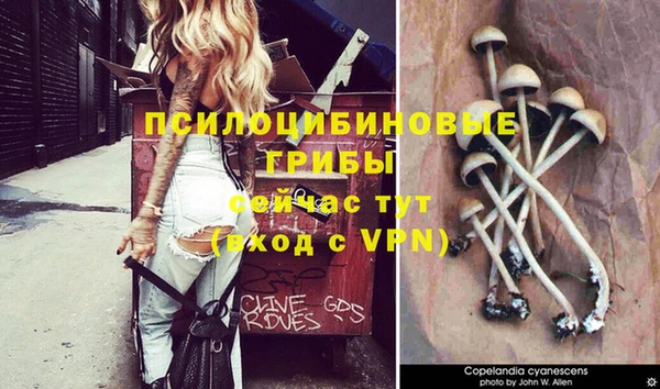 амф Вяземский