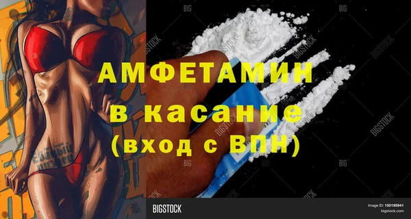 амф Вяземский