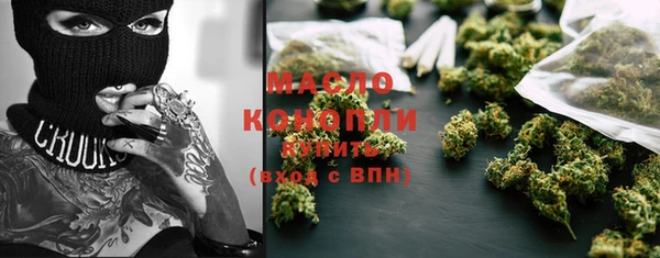 амф Вяземский